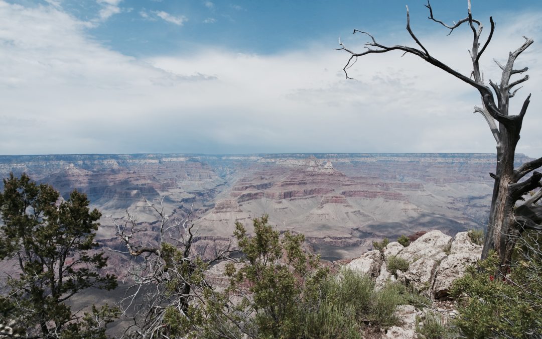 Great Grand Canyon